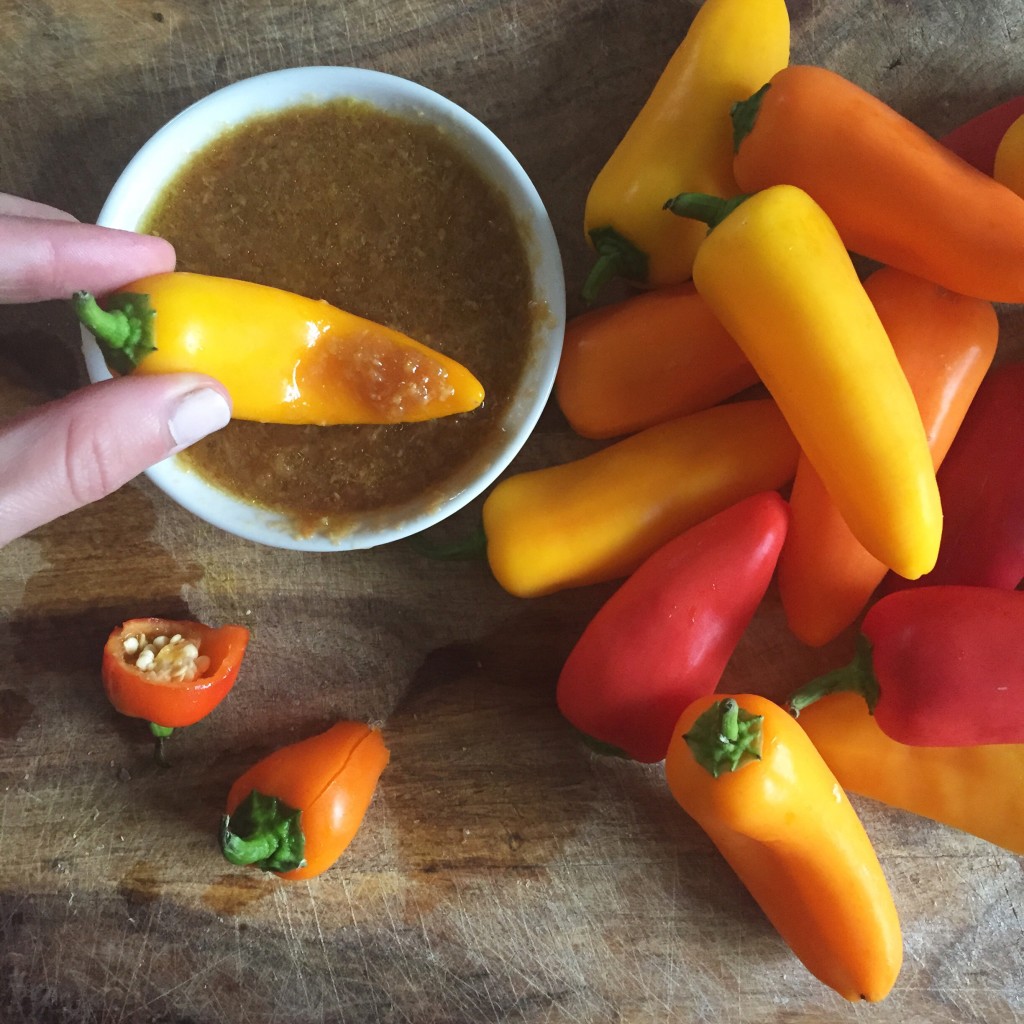 Ginger Soy Dressing (aka mock Benihana/Makoto Dressing) LaurenAriza.com