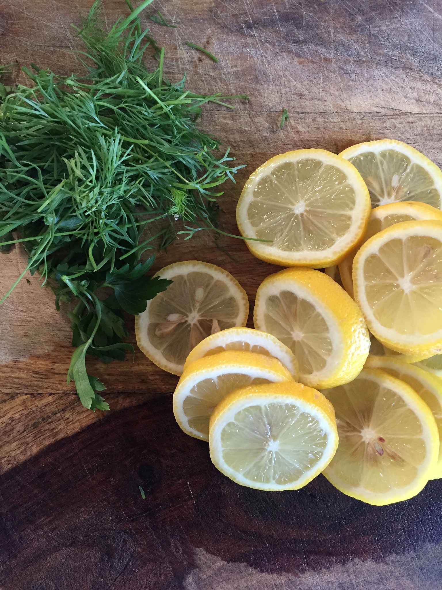 SLOW COOKER SALMON WITH POTATOES, FENNEL, AND HERBS // laurenariza.com // recipe schmecipe